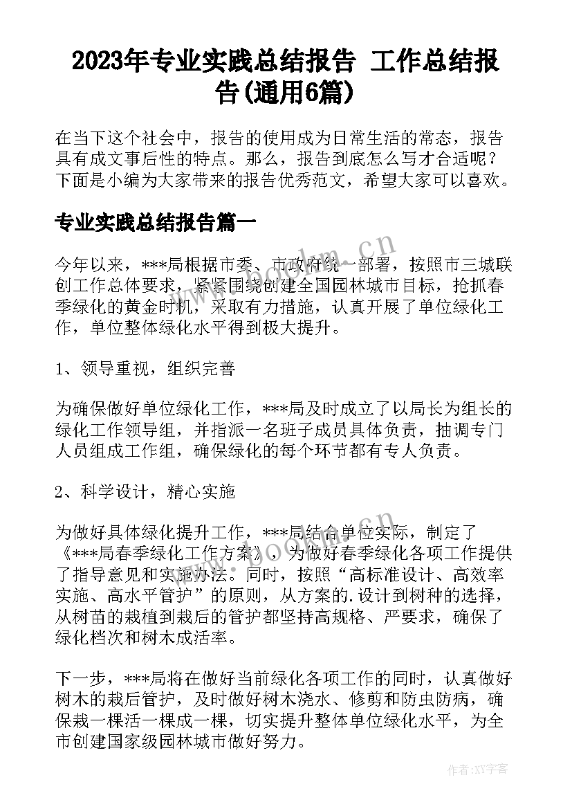 2023年专业实践总结报告 工作总结报告(通用6篇)