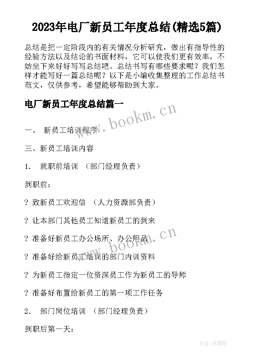 2023年电厂新员工年度总结(精选5篇)