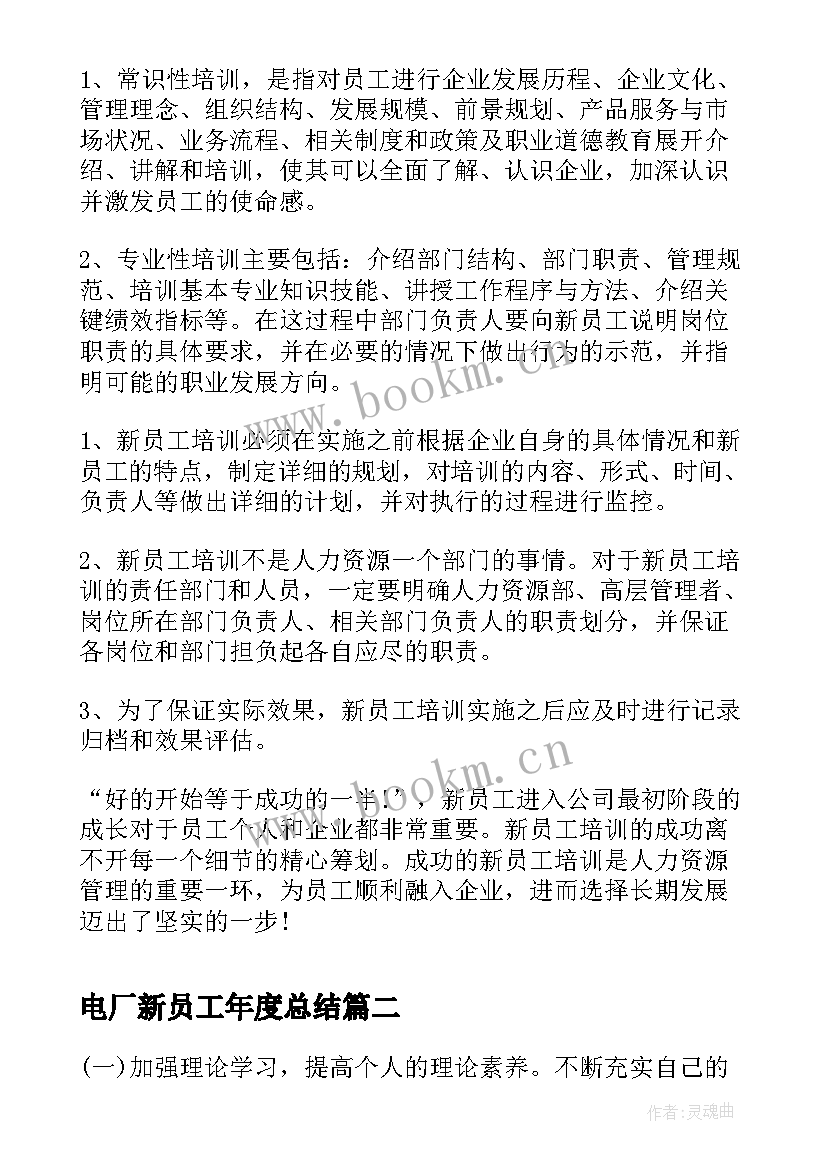 2023年电厂新员工年度总结(精选5篇)