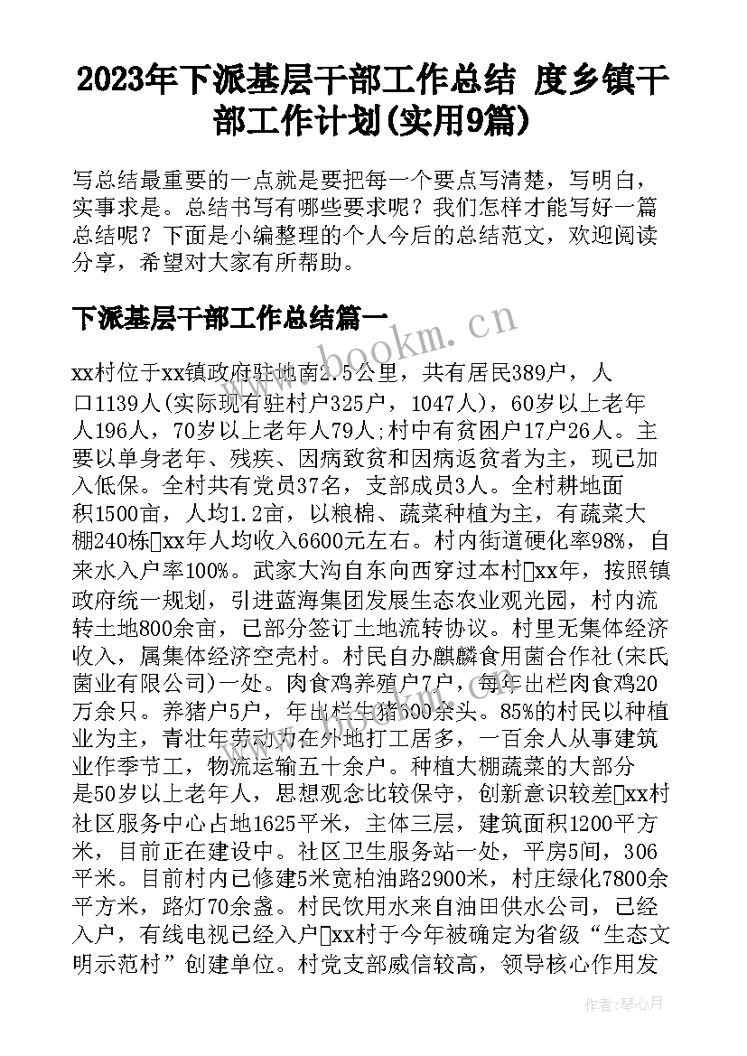 2023年下派基层干部工作总结 度乡镇干部工作计划(实用9篇)