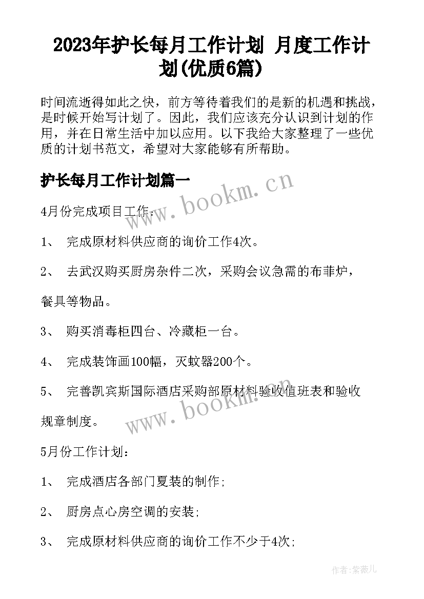 2023年护长每月工作计划 月度工作计划(优质6篇)