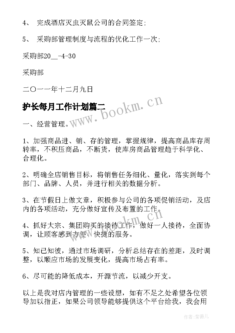 2023年护长每月工作计划 月度工作计划(优质6篇)