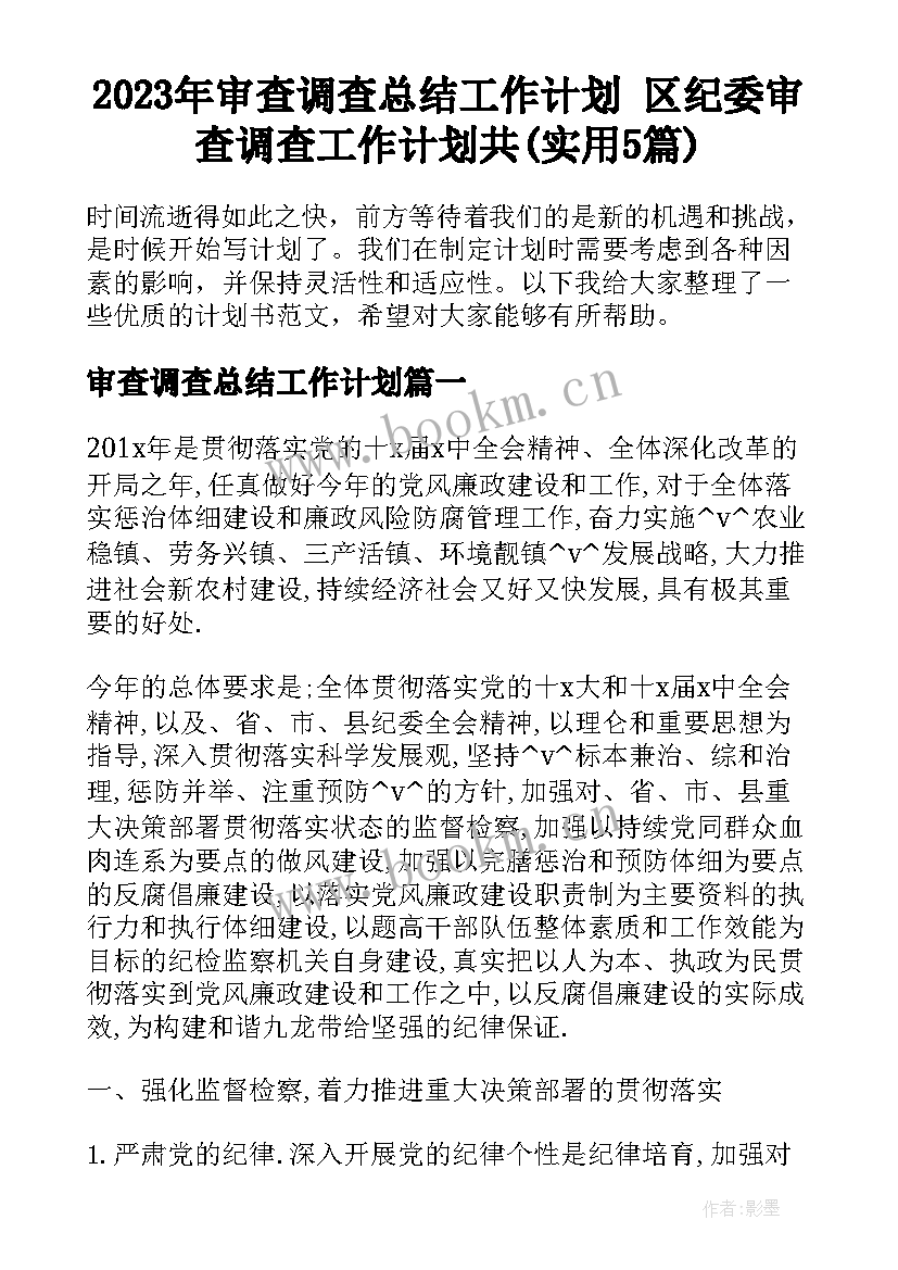 2023年审查调查总结工作计划 区纪委审查调查工作计划共(实用5篇)