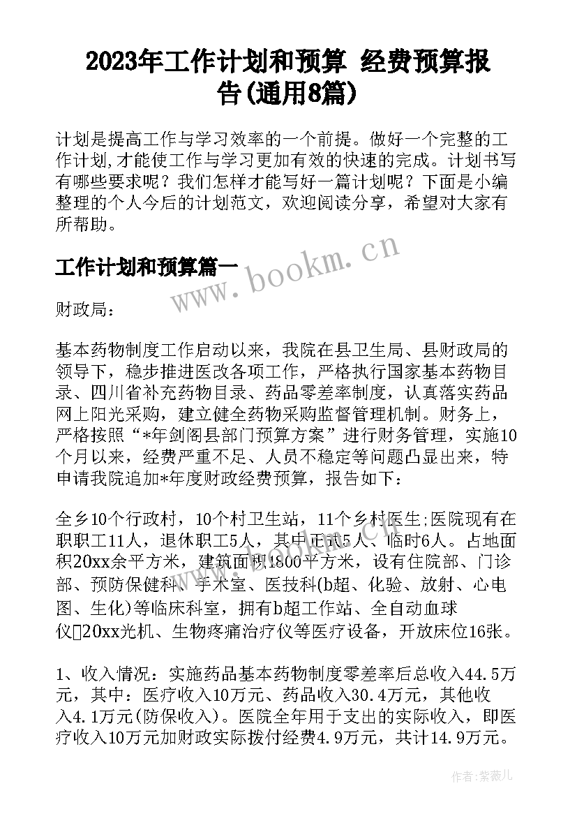 2023年工作计划和预算 经费预算报告(通用8篇)