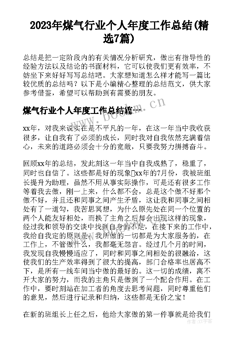 2023年煤气行业个人年度工作总结(精选7篇)