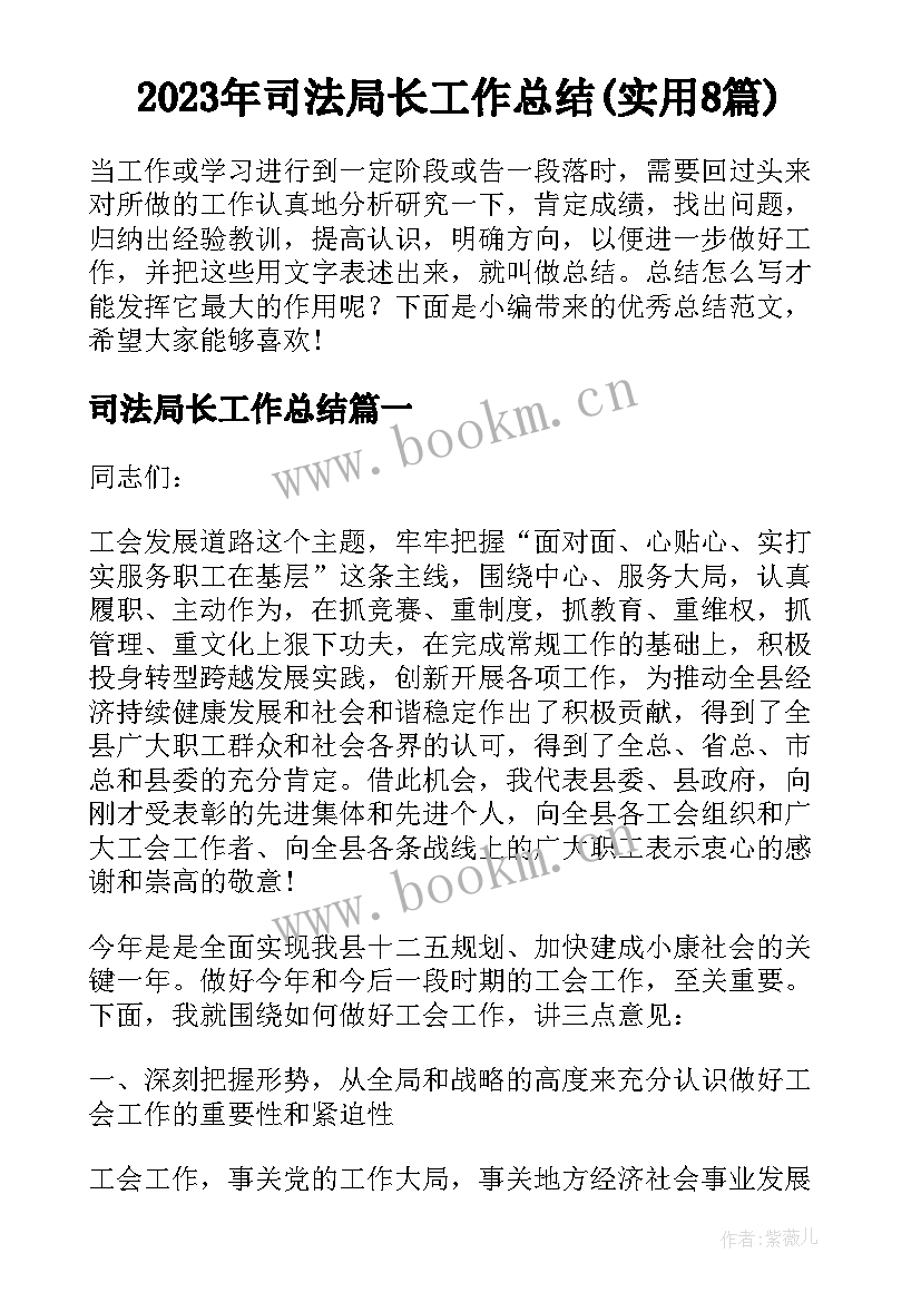 2023年司法局长工作总结(实用8篇)