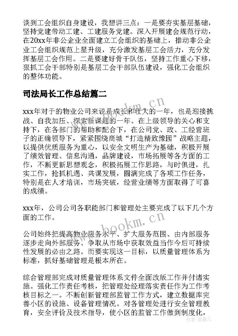 2023年司法局长工作总结(实用8篇)