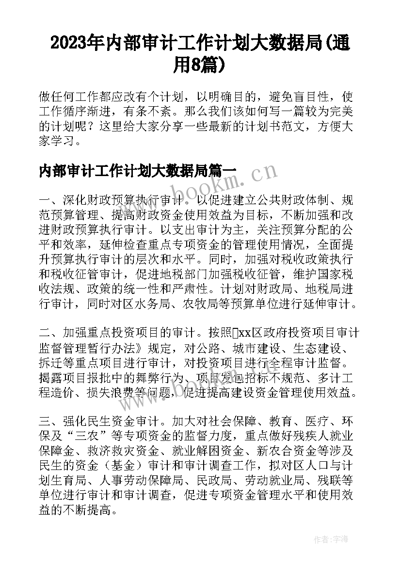 2023年内部审计工作计划大数据局(通用8篇)