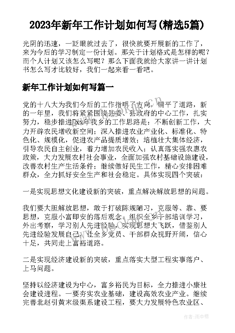 2023年新年工作计划如何写(精选5篇)