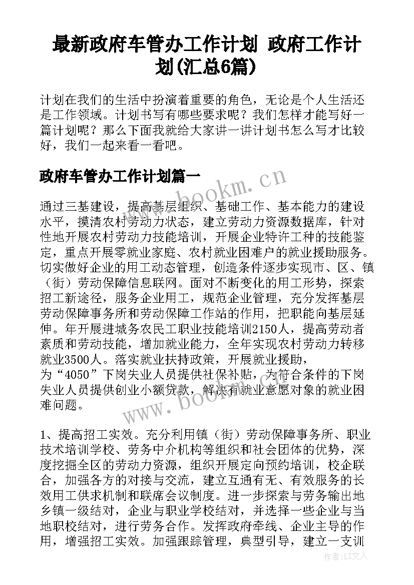 最新政府车管办工作计划 政府工作计划(汇总6篇)