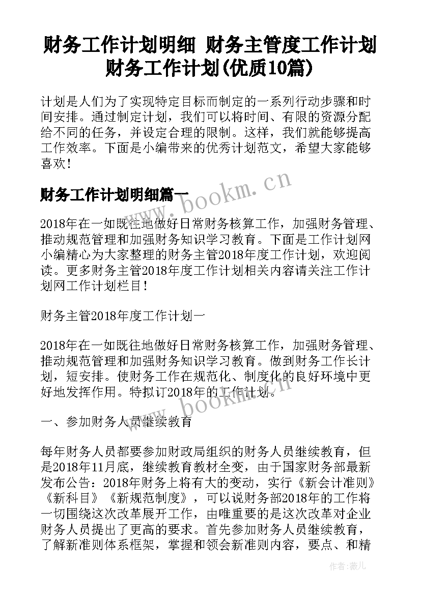 财务工作计划明细 财务主管度工作计划财务工作计划(优质10篇)