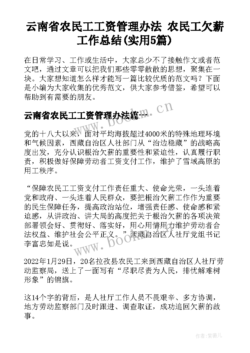 云南省农民工工资管理办法 农民工欠薪工作总结(实用5篇)