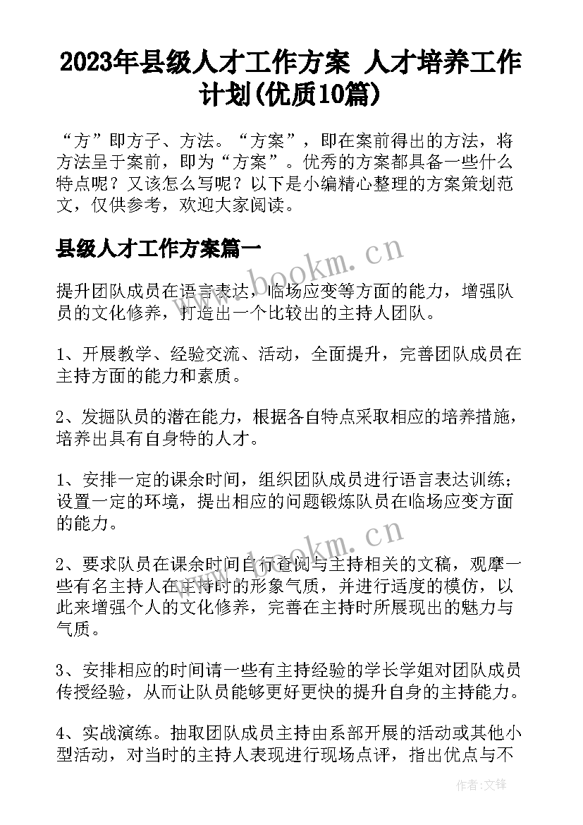 2023年县级人才工作方案 人才培养工作计划(优质10篇)