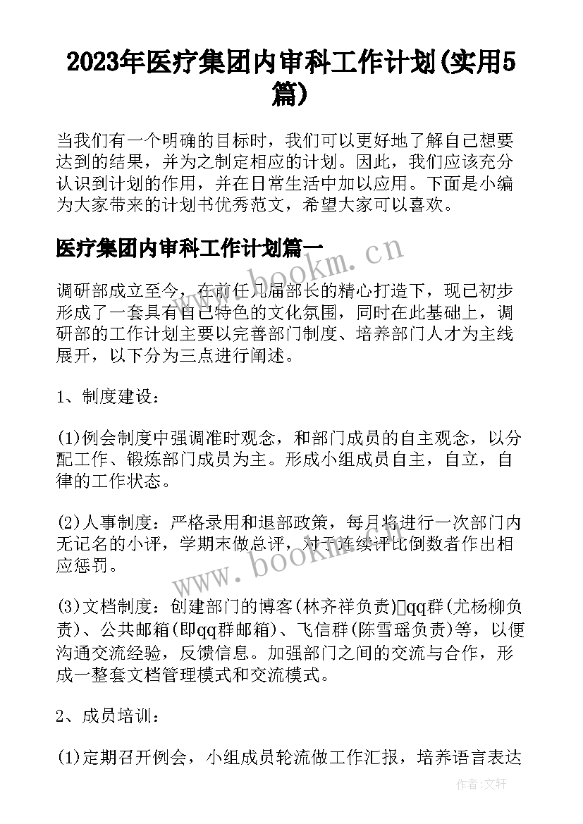 2023年医疗集团内审科工作计划(实用5篇)