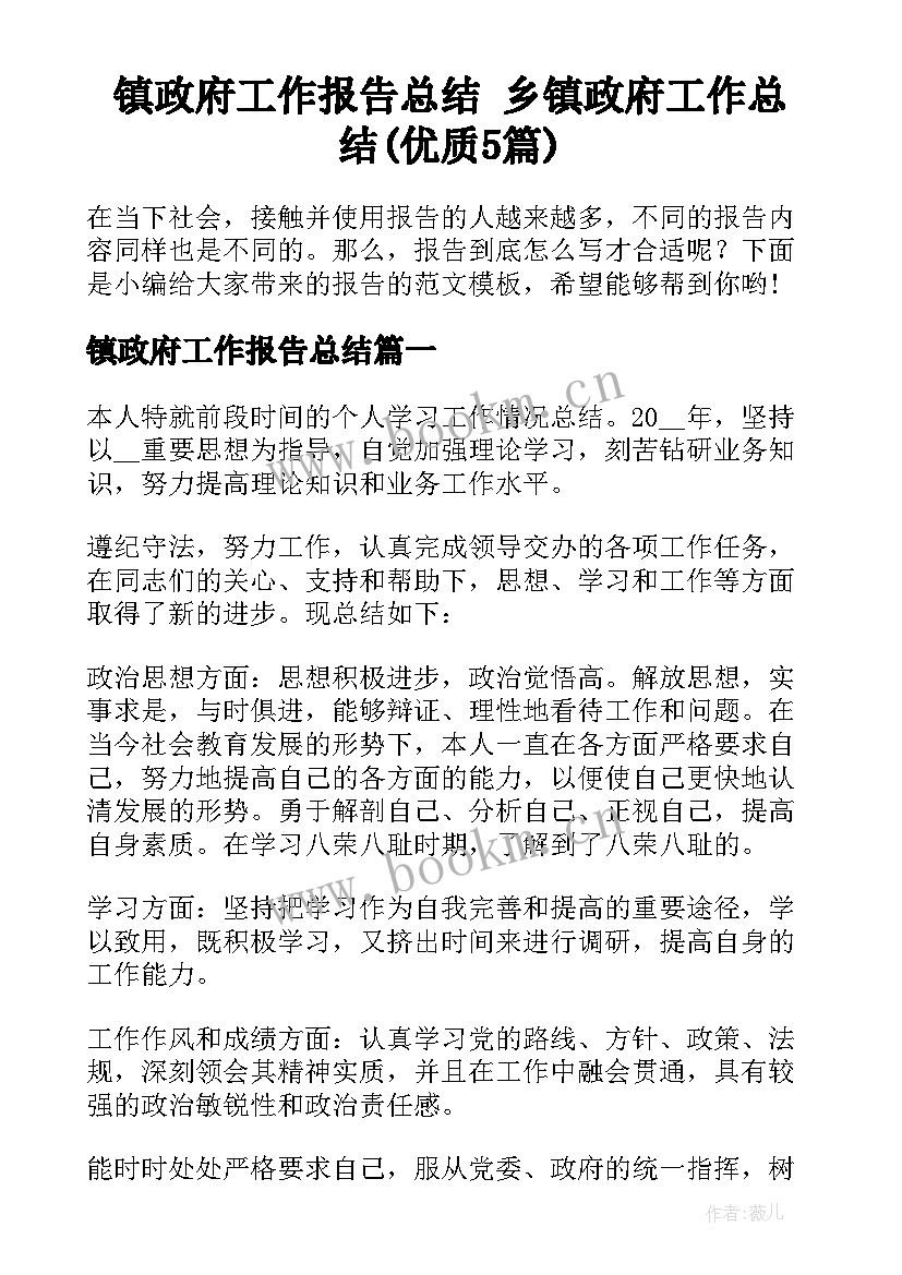 镇政府工作报告总结 乡镇政府工作总结(优质5篇)