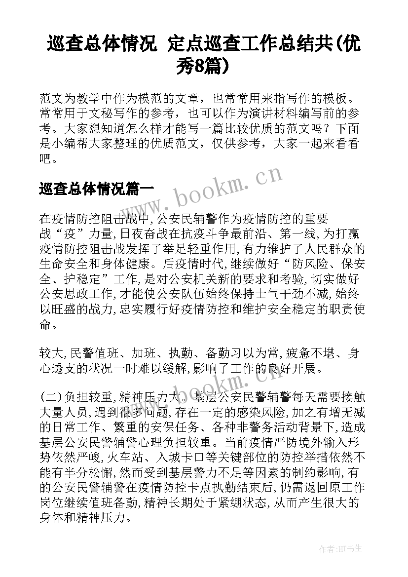 巡查总体情况 定点巡查工作总结共(优秀8篇)