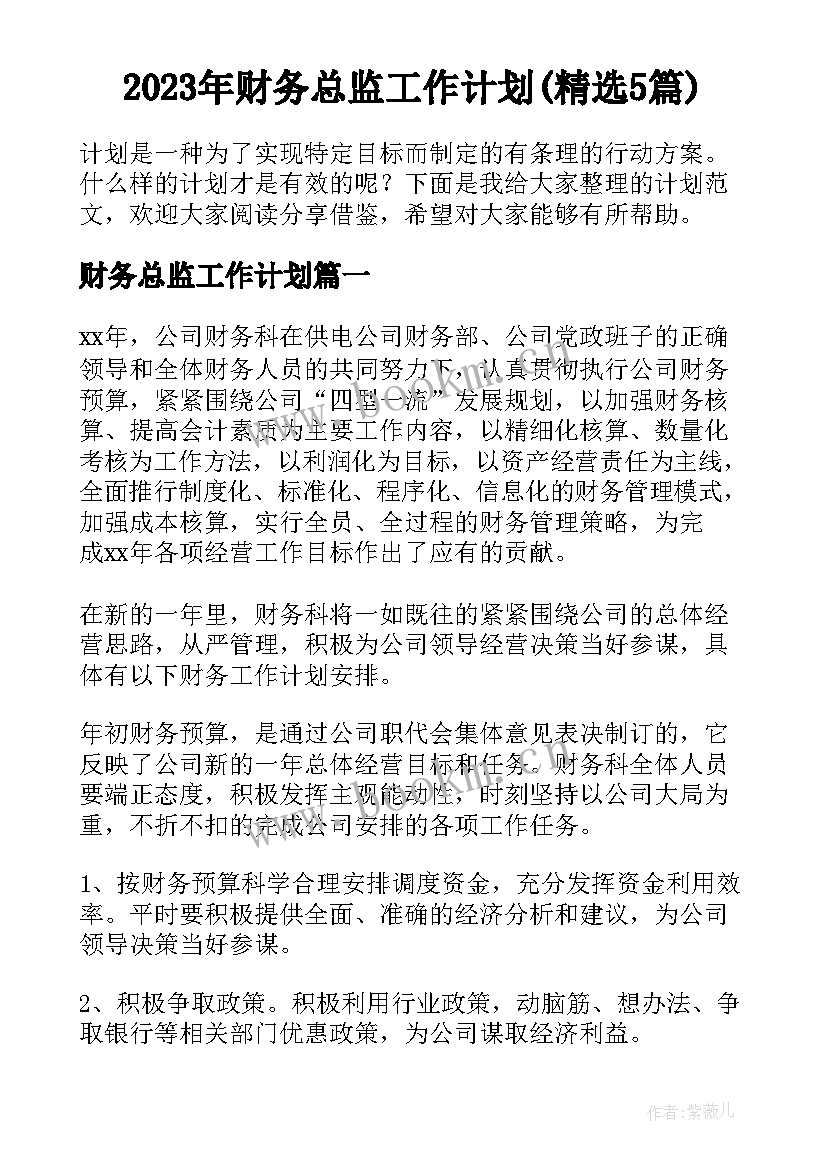 2023年财务总监工作计划(精选5篇)