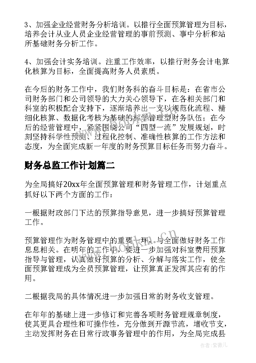 2023年财务总监工作计划(精选5篇)