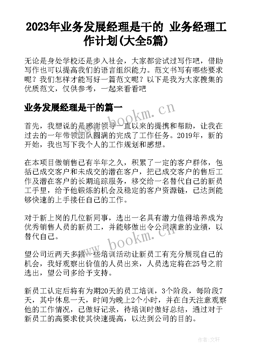 2023年业务发展经理是干的 业务经理工作计划(大全5篇)