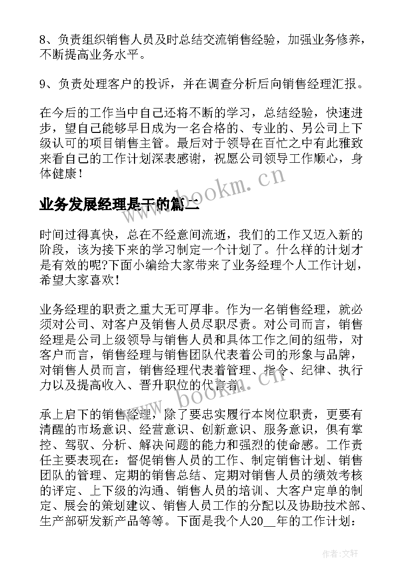 2023年业务发展经理是干的 业务经理工作计划(大全5篇)