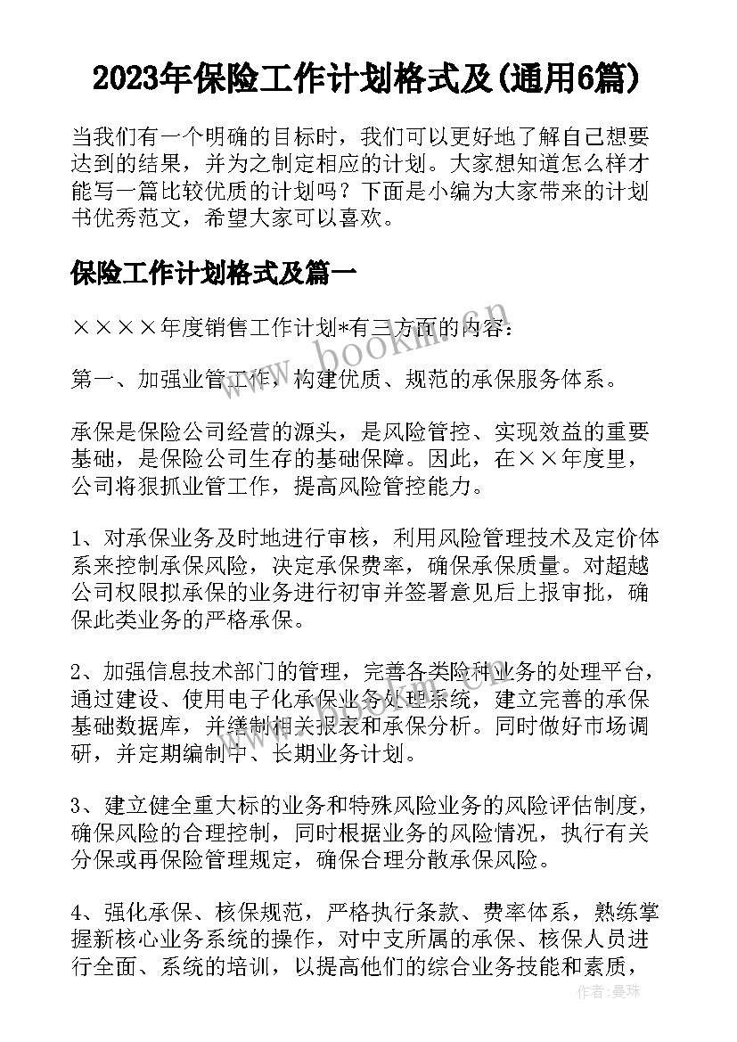 2023年保险工作计划格式及(通用6篇)