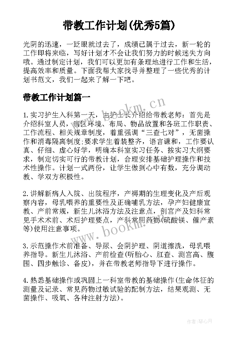 带教工作计划(优秀5篇)