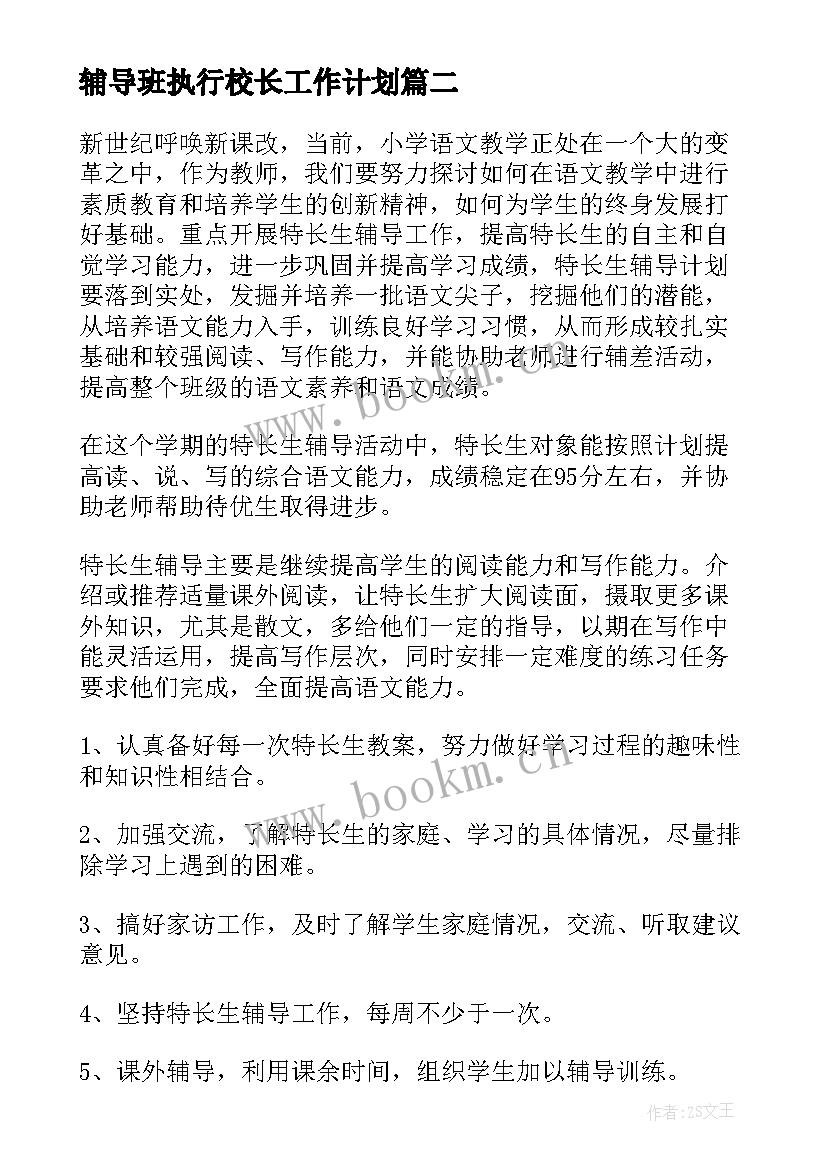 辅导班执行校长工作计划(精选8篇)