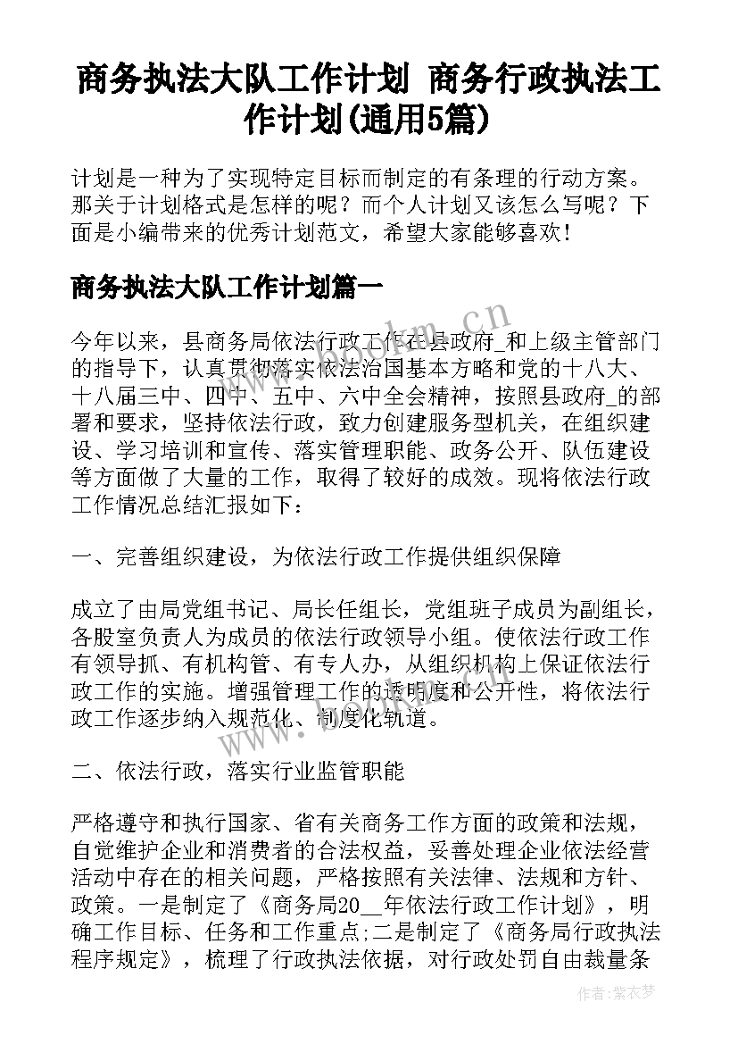 商务执法大队工作计划 商务行政执法工作计划(通用5篇)