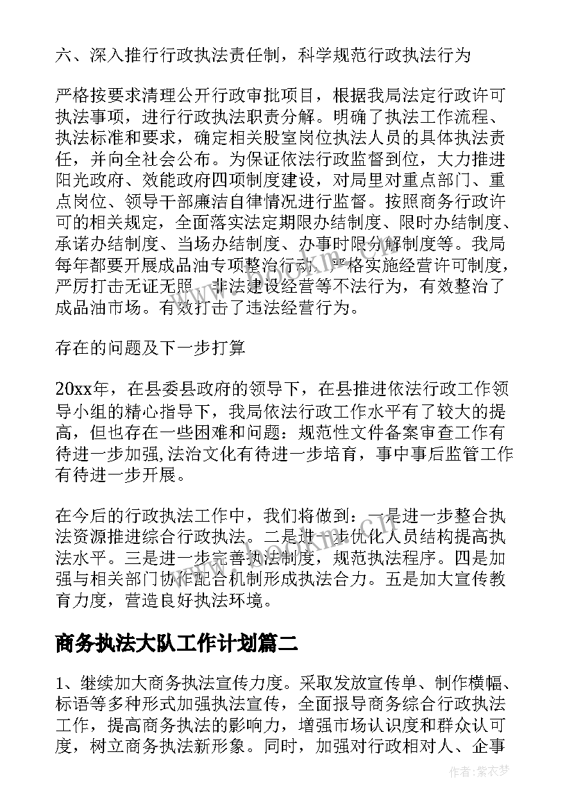 商务执法大队工作计划 商务行政执法工作计划(通用5篇)