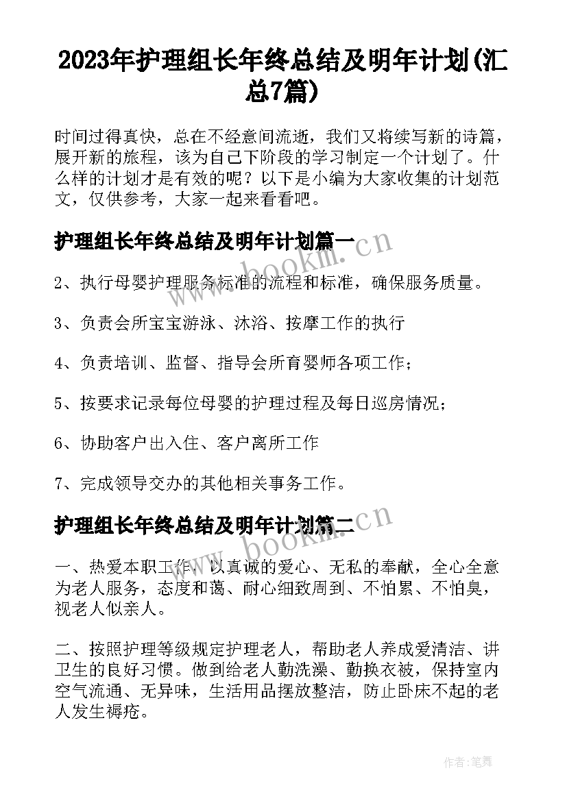 2023年护理组长年终总结及明年计划(汇总7篇)