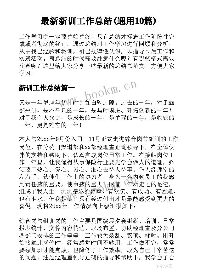 最新新训工作总结(通用10篇)