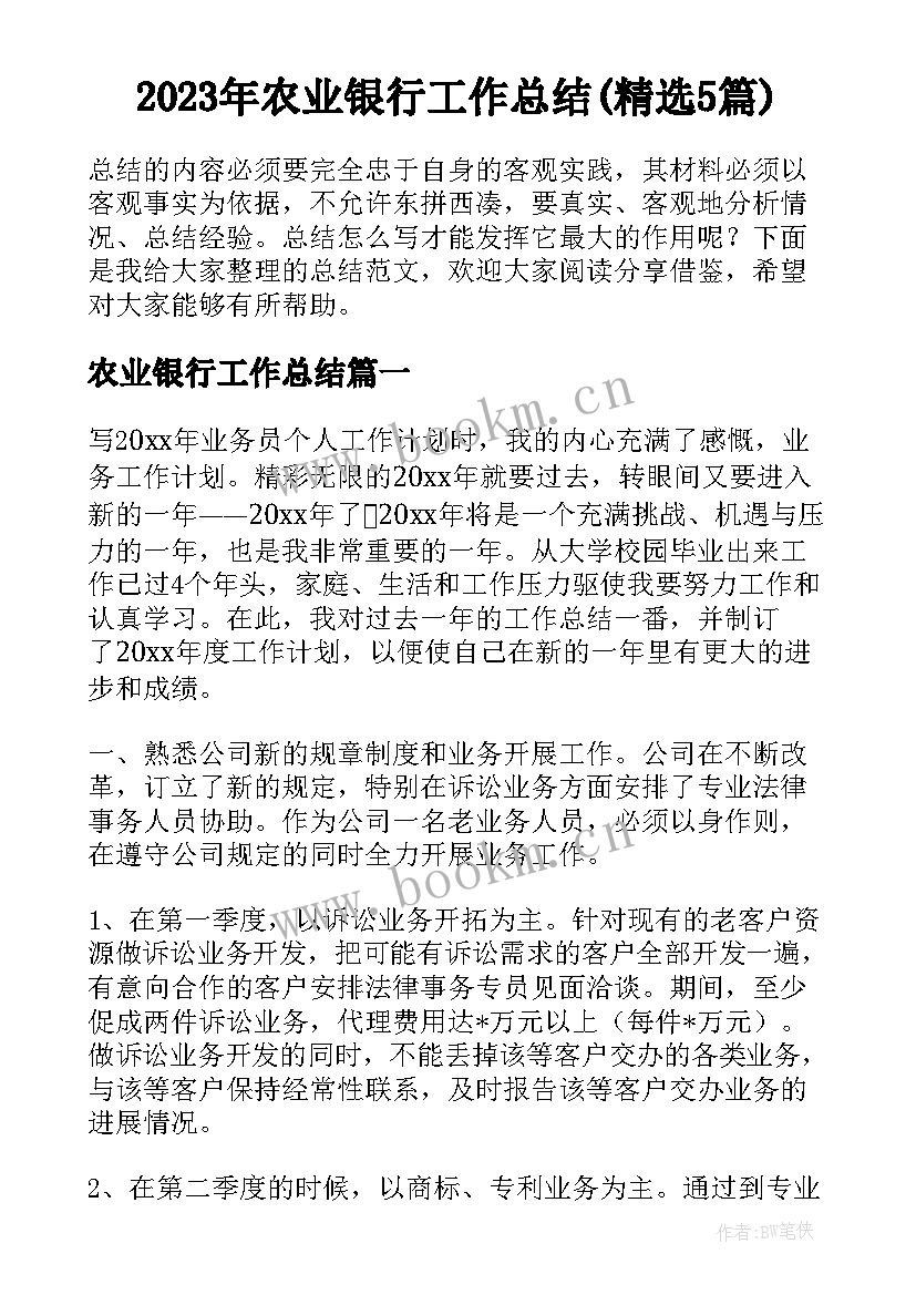 2023年农业银行工作总结(精选5篇)