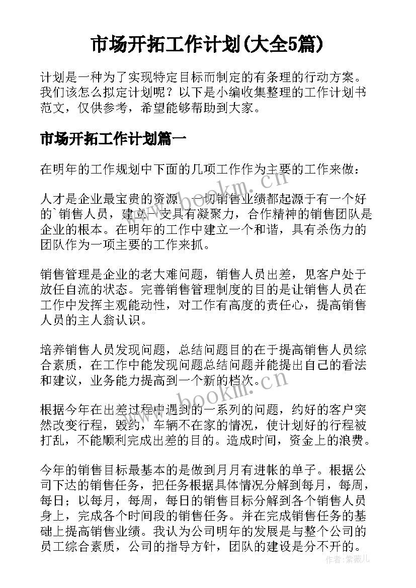 市场开拓工作计划(大全5篇)