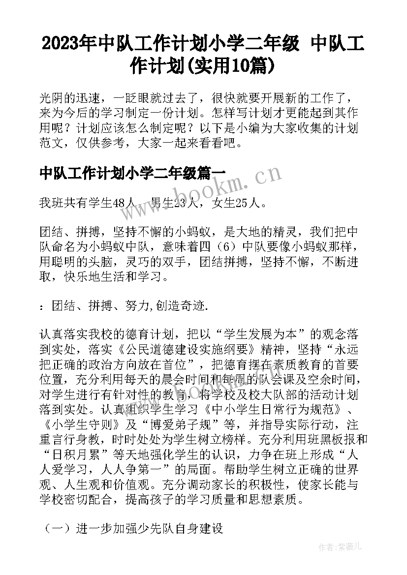 2023年中队工作计划小学二年级 中队工作计划(实用10篇)