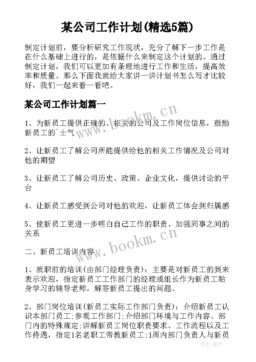 某公司工作计划(精选5篇)