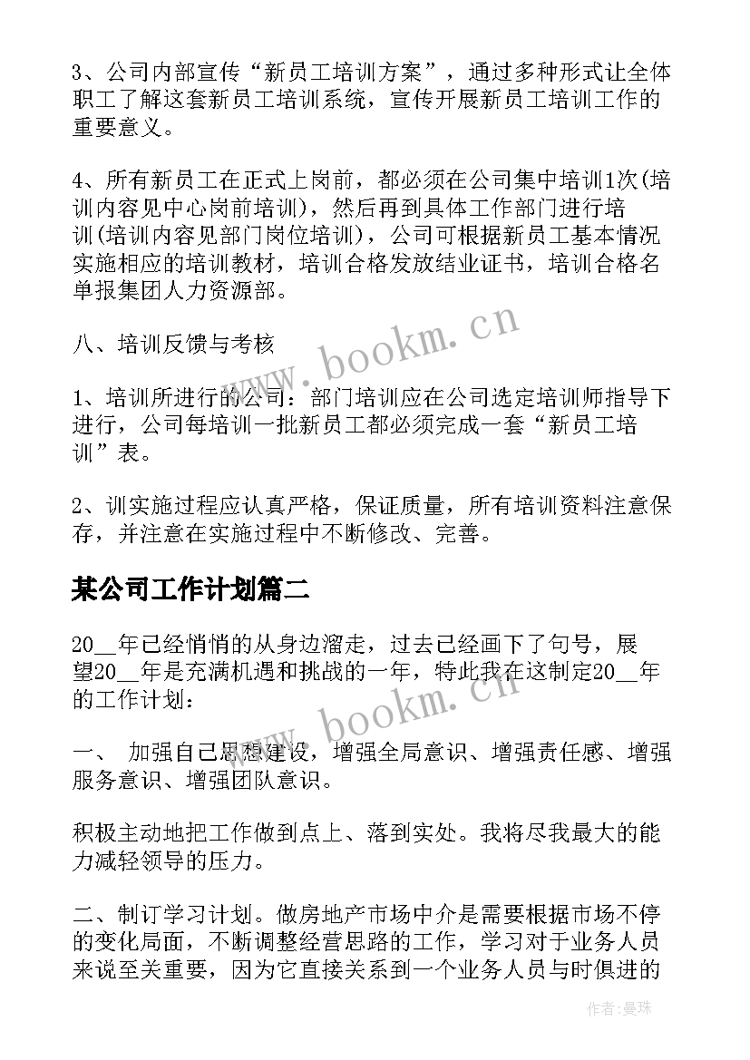 某公司工作计划(精选5篇)