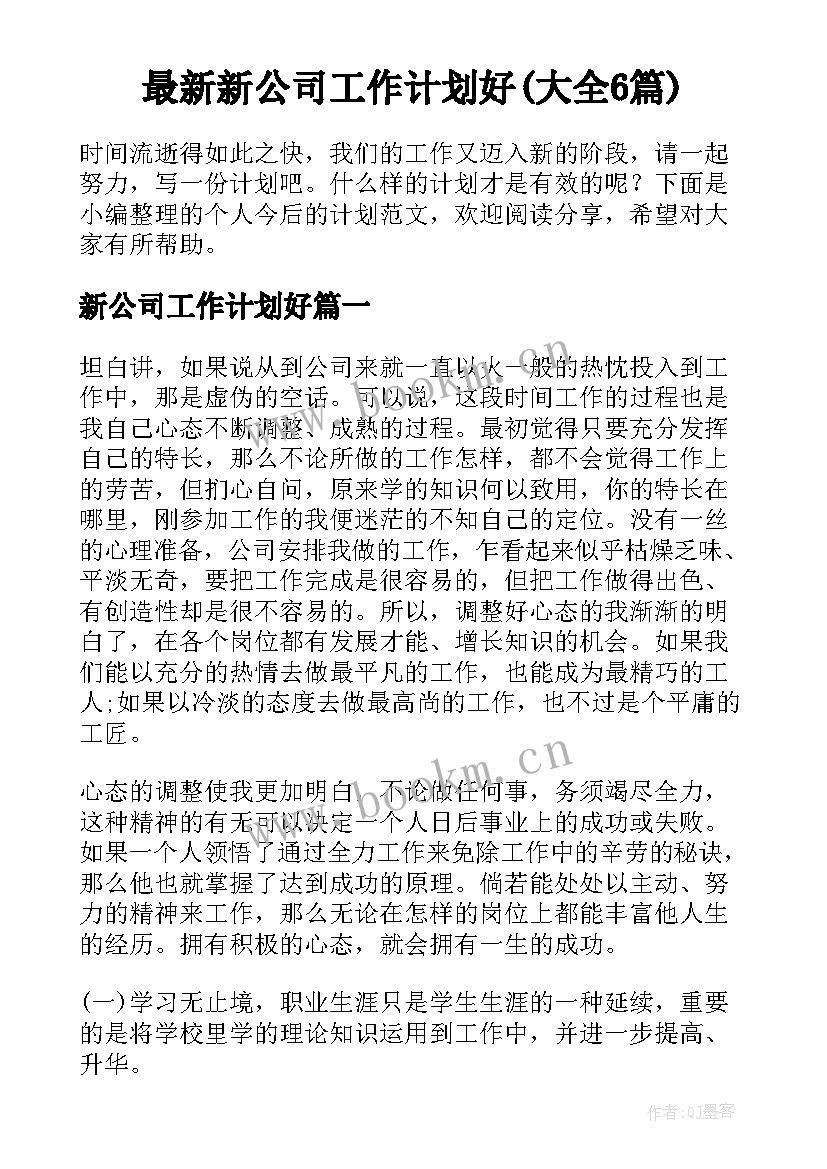 最新新公司工作计划好(大全6篇)