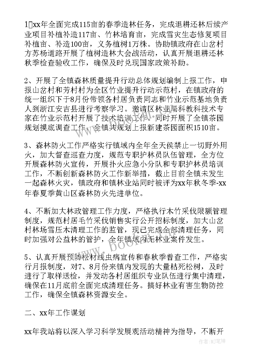 最新林业工作规划(实用8篇)