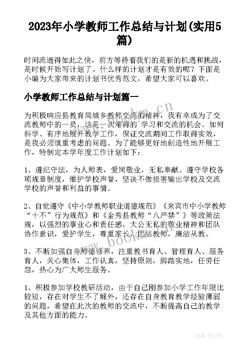 2023年小学教师工作总结与计划(实用5篇)