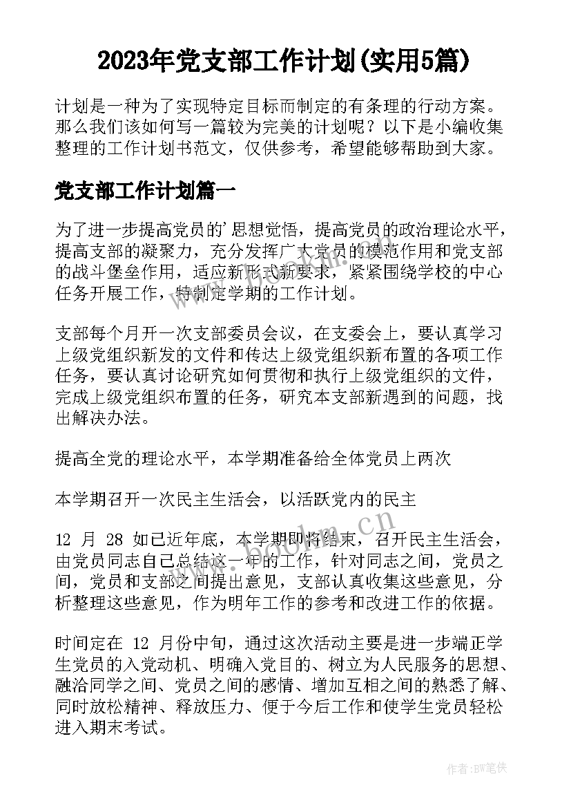 2023年党支部工作计划(实用5篇)