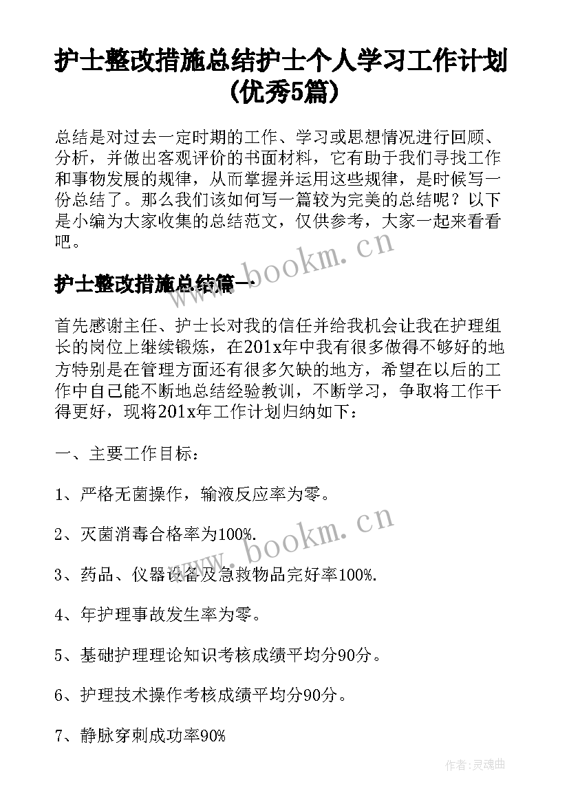 护士整改措施总结 护士个人学习工作计划(优秀5篇)