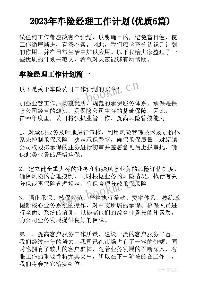 2023年车险经理工作计划(优质5篇)