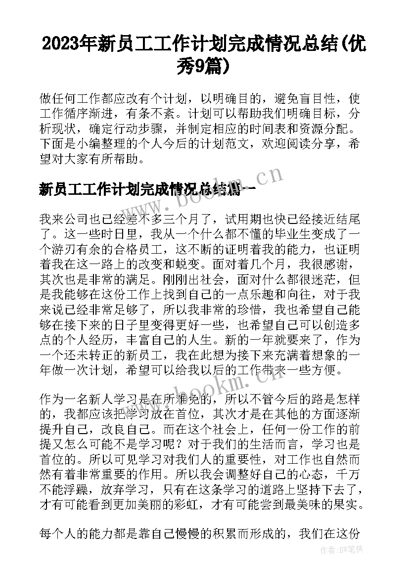 2023年新员工工作计划完成情况总结(优秀9篇)