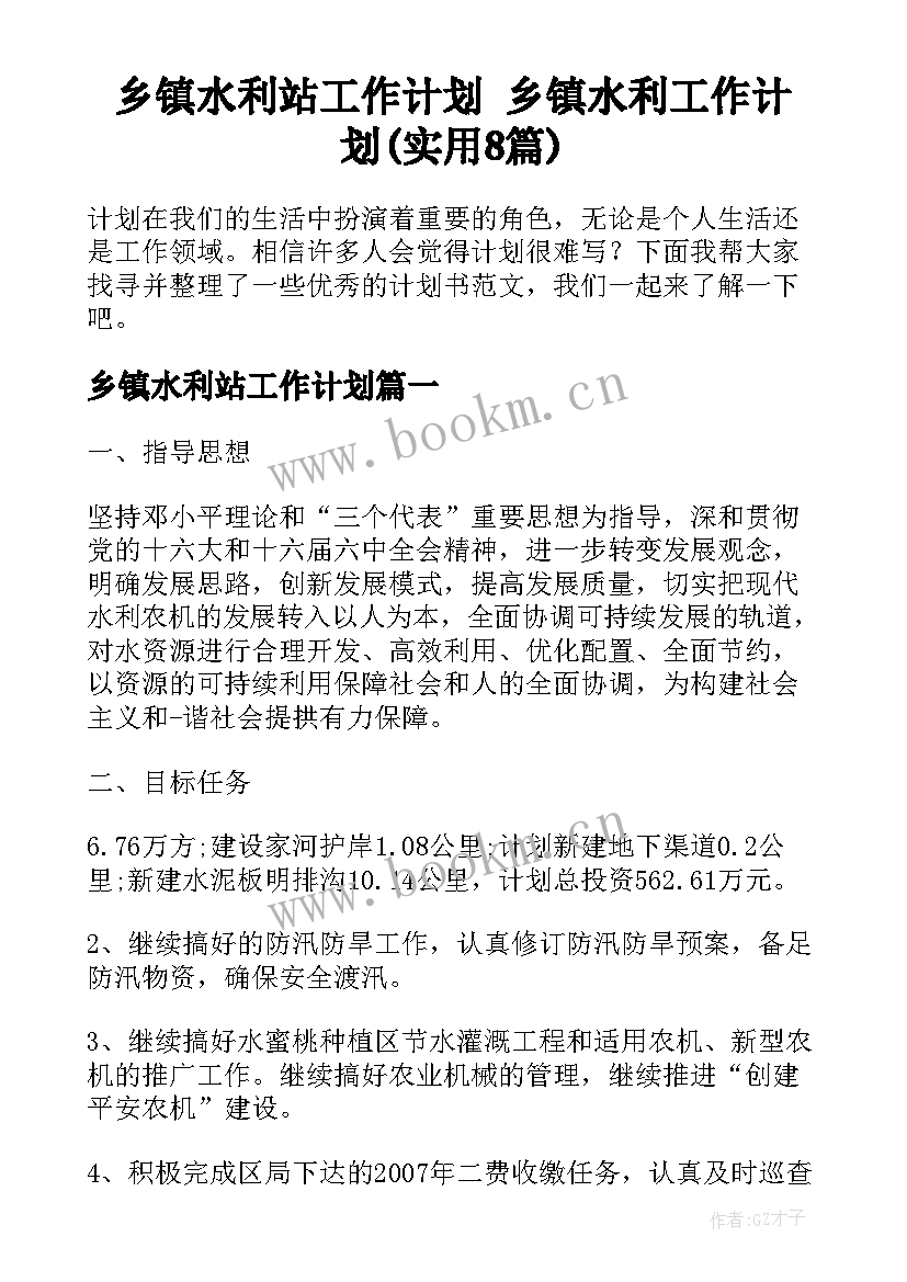 乡镇水利站工作计划 乡镇水利工作计划(实用8篇)