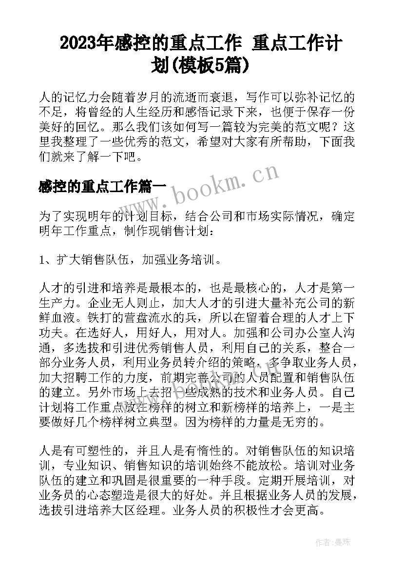 2023年感控的重点工作 重点工作计划(模板5篇)