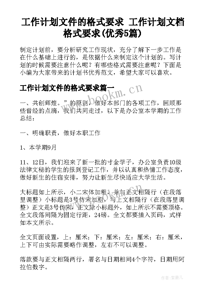 工作计划文件的格式要求 工作计划文档格式要求(优秀5篇)