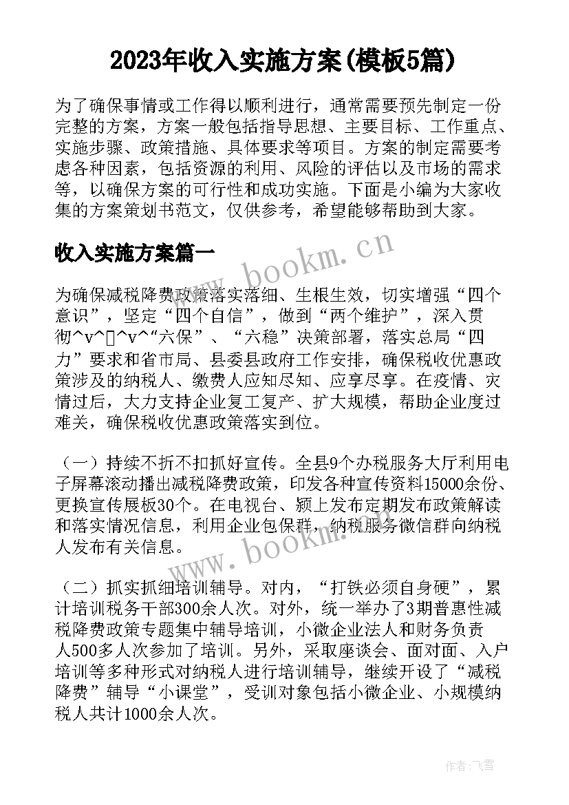 2023年收入实施方案(模板5篇)