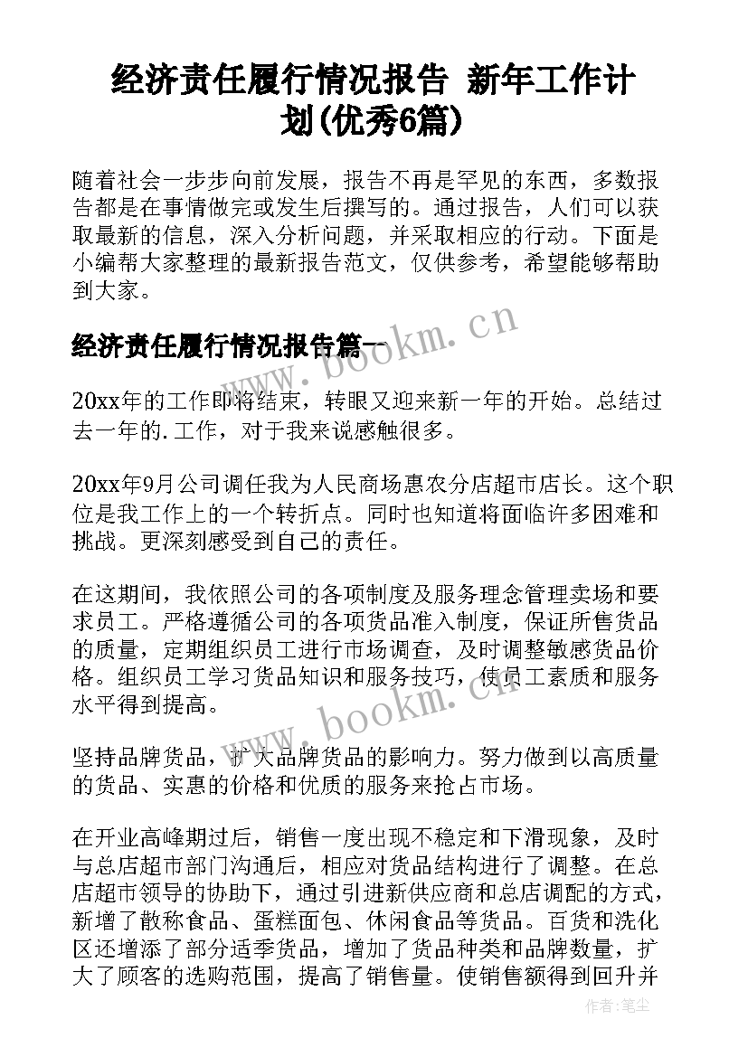 经济责任履行情况报告 新年工作计划(优秀6篇)