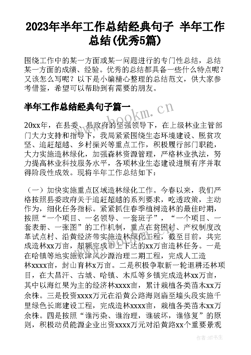 2023年半年工作总结经典句子 半年工作总结(优秀5篇)