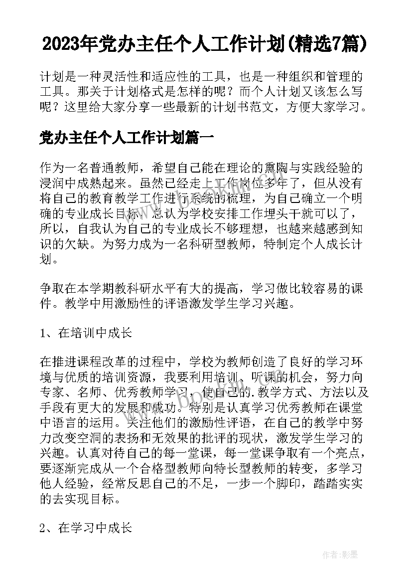 2023年党办主任个人工作计划(精选7篇)